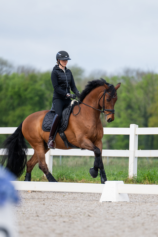 Rijbroek New Lugana FFL Zwart