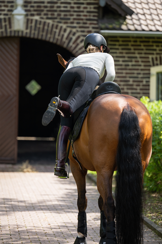 Rijbroek New Lugana FFL Zwart