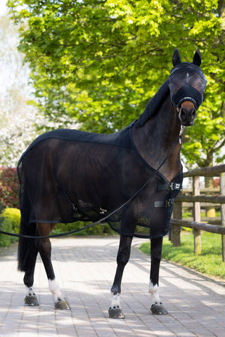 Fliegenhaube + Halfter Schwarz