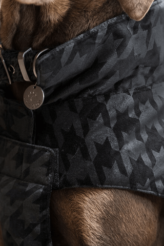 Couverture pour chien