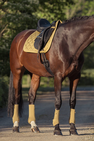 Schabrak Glossy Heritage AW25 Cardamom