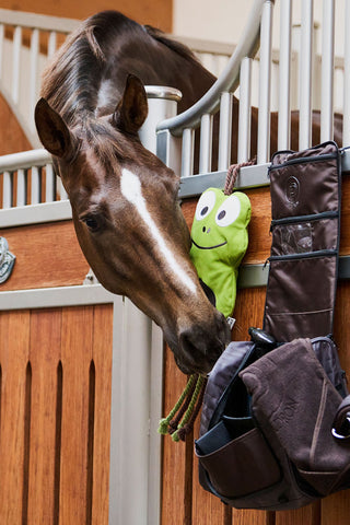 Sac de pansage Organizer Platinum SS24