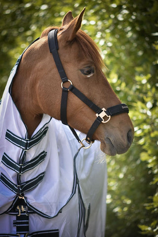 Grimma Svensk Ridsport