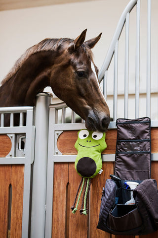 Leksak Groda Platinum SS24