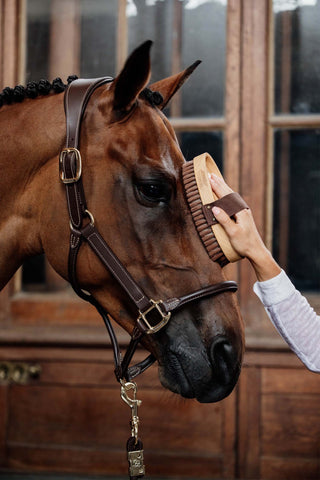 Miękka szczotka do czyszczenia