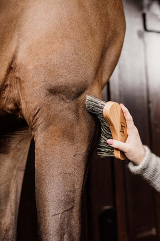 Brosse Dure Courbée