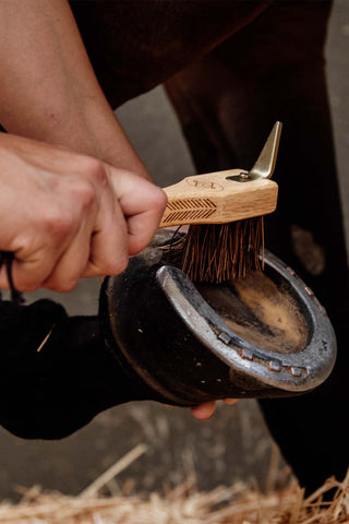Hoof Pick