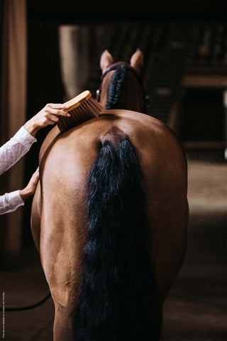 Brosse Courbée Moyenne