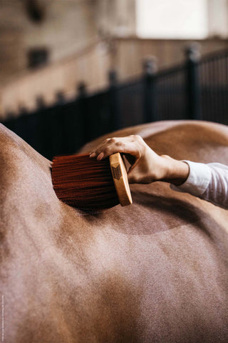 Brosse Courbée Moyenne