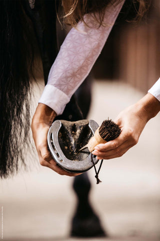 Kleiner Hufauskratzer