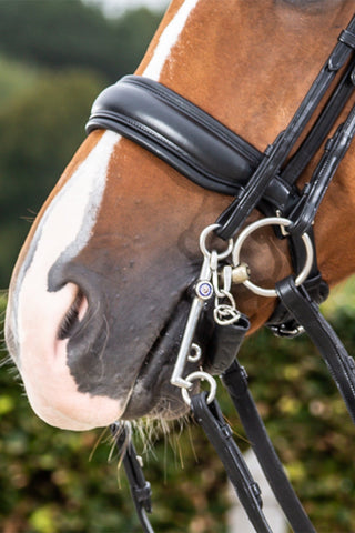 Bred Pullback Næserem New English Brun