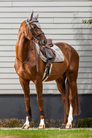 Corduroy Jumping Saddle Pad