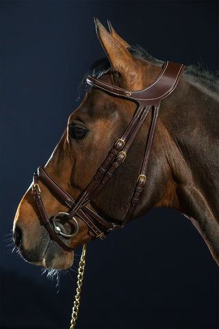 Difference ogłowie z kombinowanym nachrapnikiem Dyon Collection brązowe