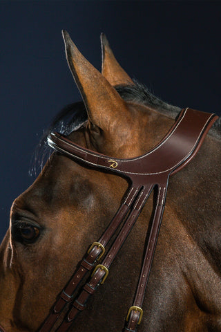 Difference ogłowie z kombinowanym nachrapnikiem Dyon Collection brązowe