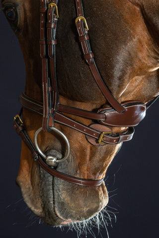 Difference ogłowie z kombinowanym nachrapnikiem Dyon Collection brązowe