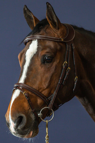 Difference ogłowie z kombinowanym nachrapnikiem Dyon Collection brązowe