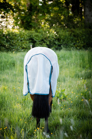 Amigo AmEco Fliegendecke