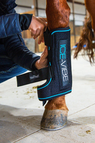 Ice-Vibe Kyldamasker