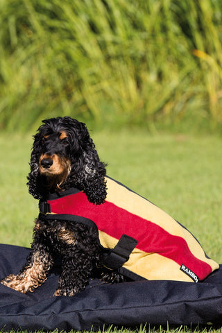 Hundedecke Deluxe Whitney