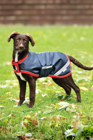 Rambo Hundedækken 100g