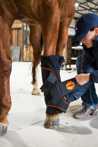 Rambo Ionic Quick Bandage