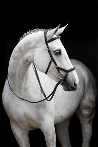 Rambo Micklem Bridle Deluxe