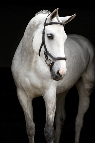 Rambo Micklem Trense Deluxe