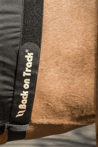 Back On Track Bogskydd Light