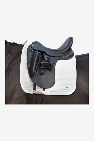 Back On Track Dressyrschabrak NO1