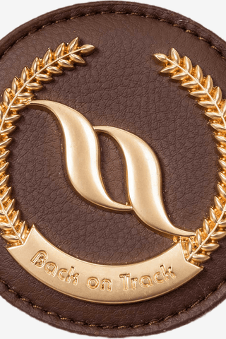 Back On Track Haze Schabrak