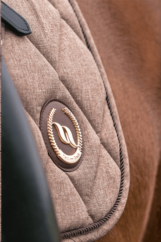 Back On Track Haze Schabrak