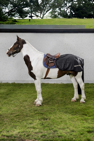 Back On Track Ländtäcke