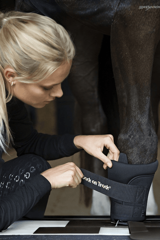 Back On Track Royal Quick Wraps