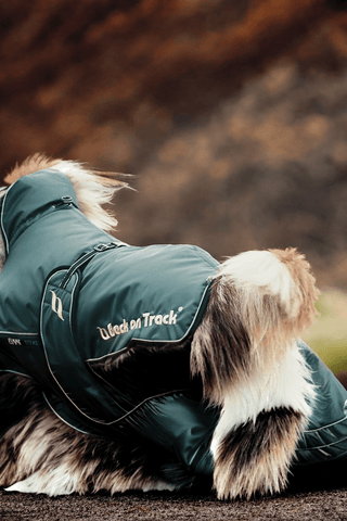 Back On Track Sunny Hundtäcke