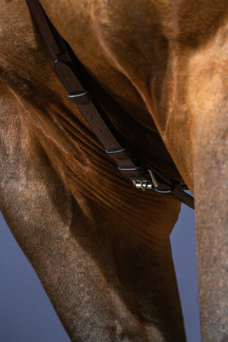 Brustgurt mit Brücke New English Braun