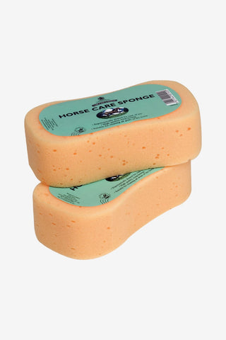 Carr & Day & Martin Tvättsvamp