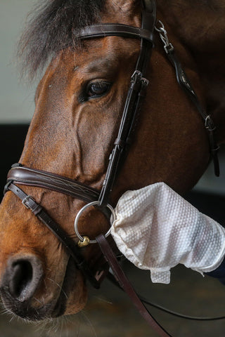 Belvoir Tack Cleaner Mitt