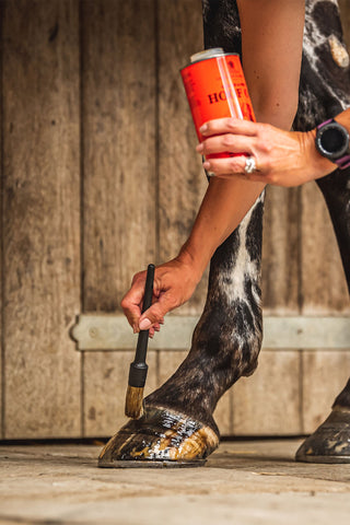 Hoof Oil Vanner & Prest