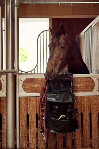 Catago Stallpåse Med Krokar