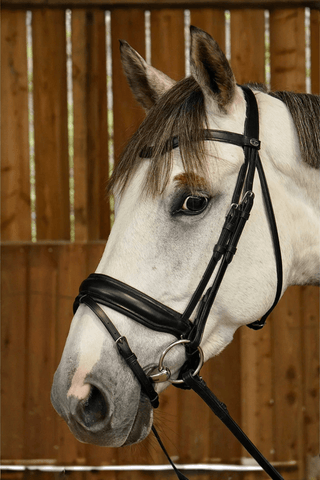 Dyón Dressyrträns Large Kombinerad Nosgrimma Working