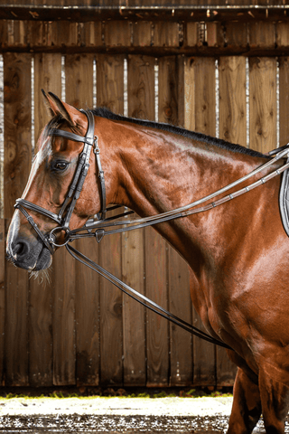 Dyón Gramantygel Hunter+Fäste Working