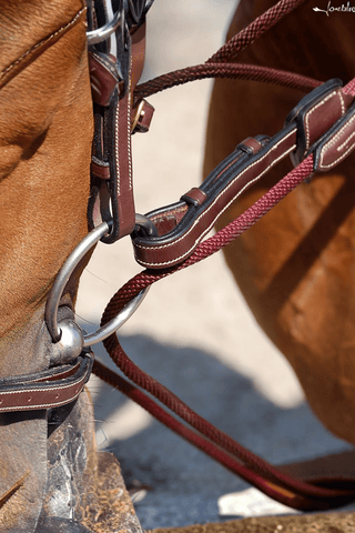 Dyón Gramantygel Rep m Fäste Dyon Collection