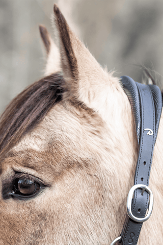 2-i-1 Grime Natural La Cense