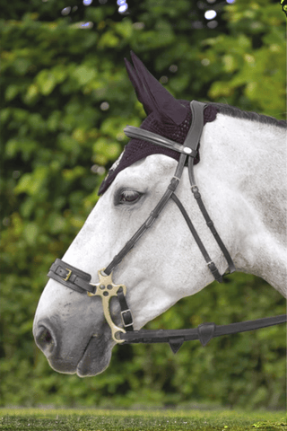 Dyón Hackamoreträns S/S