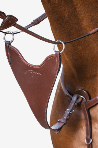 Dyón Kort Martingal Bib Hård New English