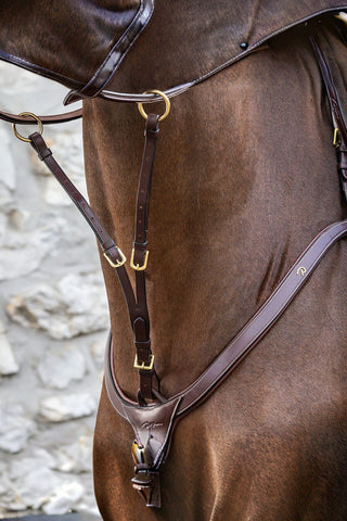 Dyón Kort Martingal Till Brösta Dyon Collection