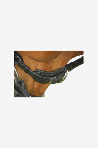 Dyón Rundsytt Träns Pullback