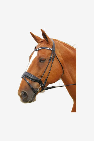 Dyón Rundsytt Träns Pullback