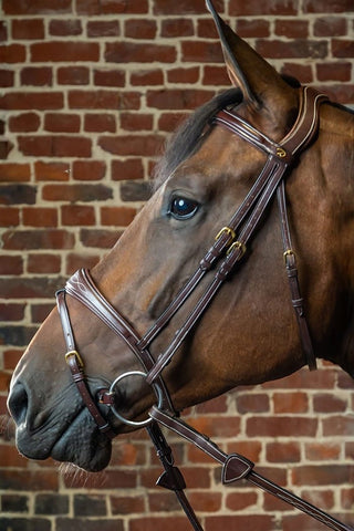 Dyón Träns Anatomisk Bred Nosgrimma