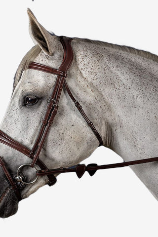 Dyón Träns Anatomisk Bred Nosgrimma New English